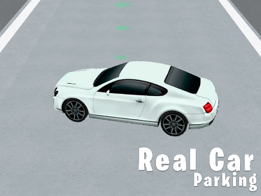 Real Car Parking 3D