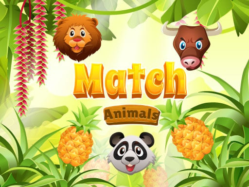 Match Animals 