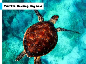 Turtle Diving Jigsaw