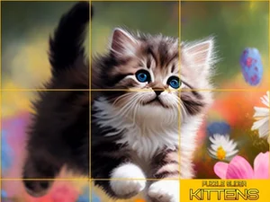 Puzzle Sliding   Kittens