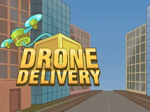 Drone Delivery